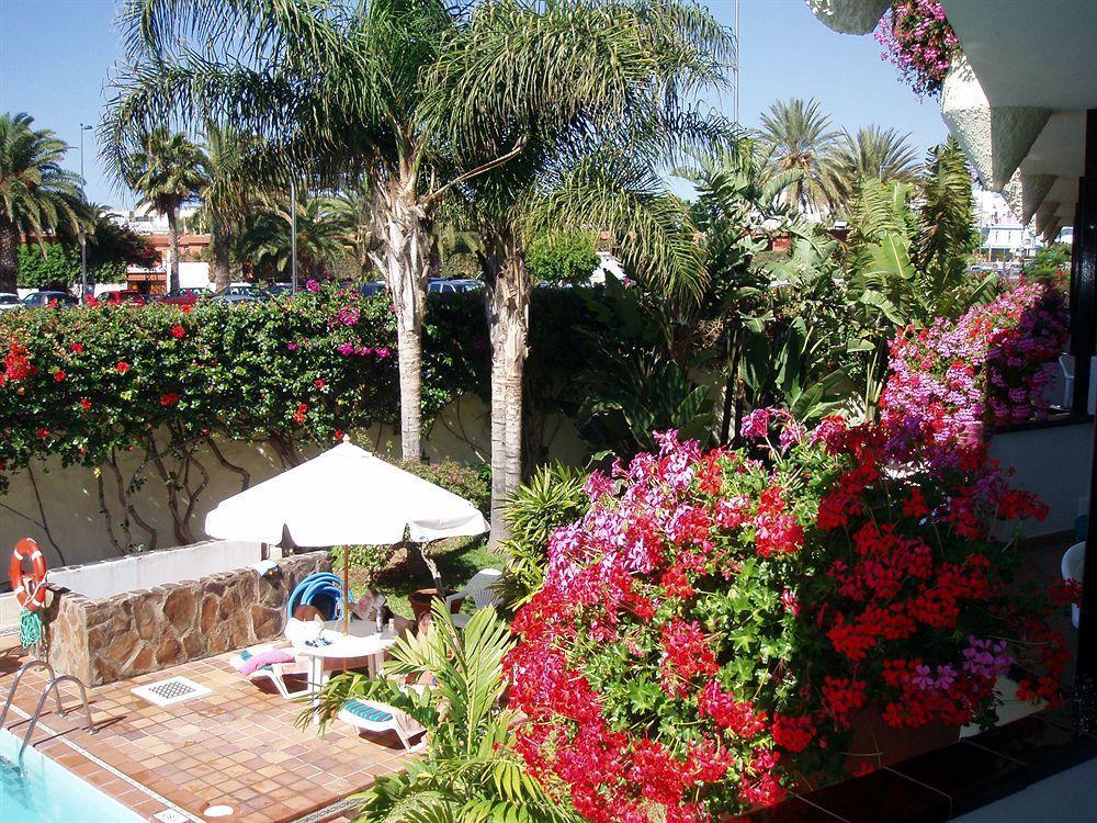 Alsol Nogal- Adults Only Playa del Inglés
