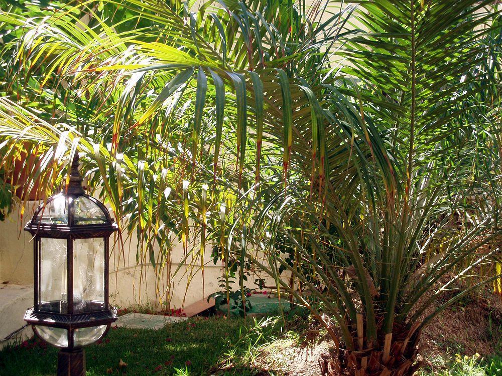 Alsol Nogal- Adults Only Apartment