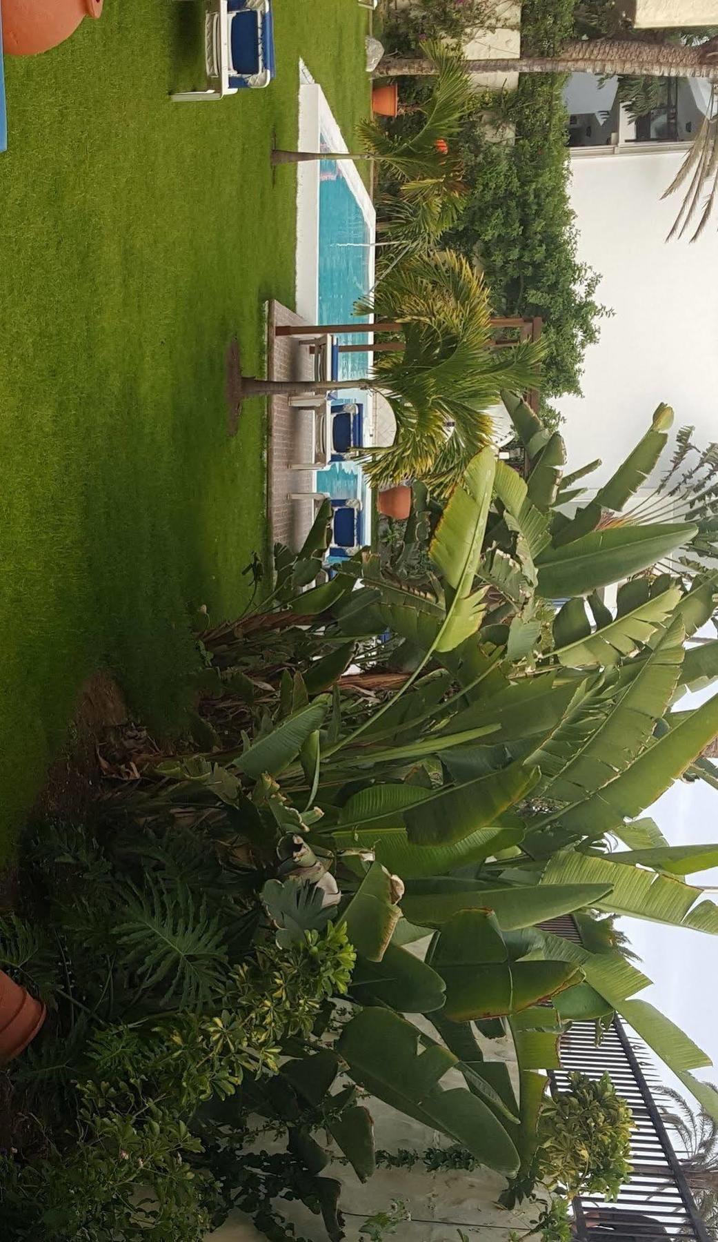 Alsol Nogal- Adults Only * Playa del Inglés